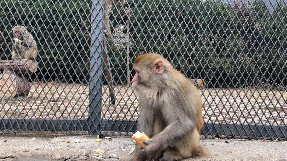 微信图片_2019031110042111