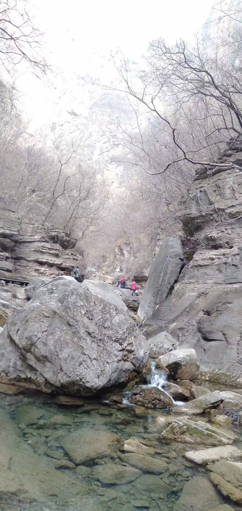 微信图片_2019031110042127