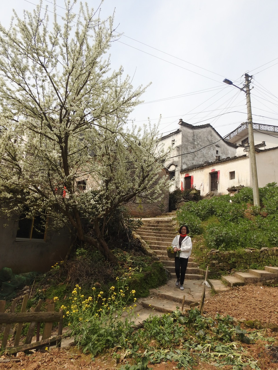 cc984831ea4c18e6b71fb6747567464