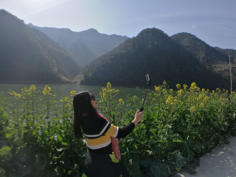 微信图片_20190318094805