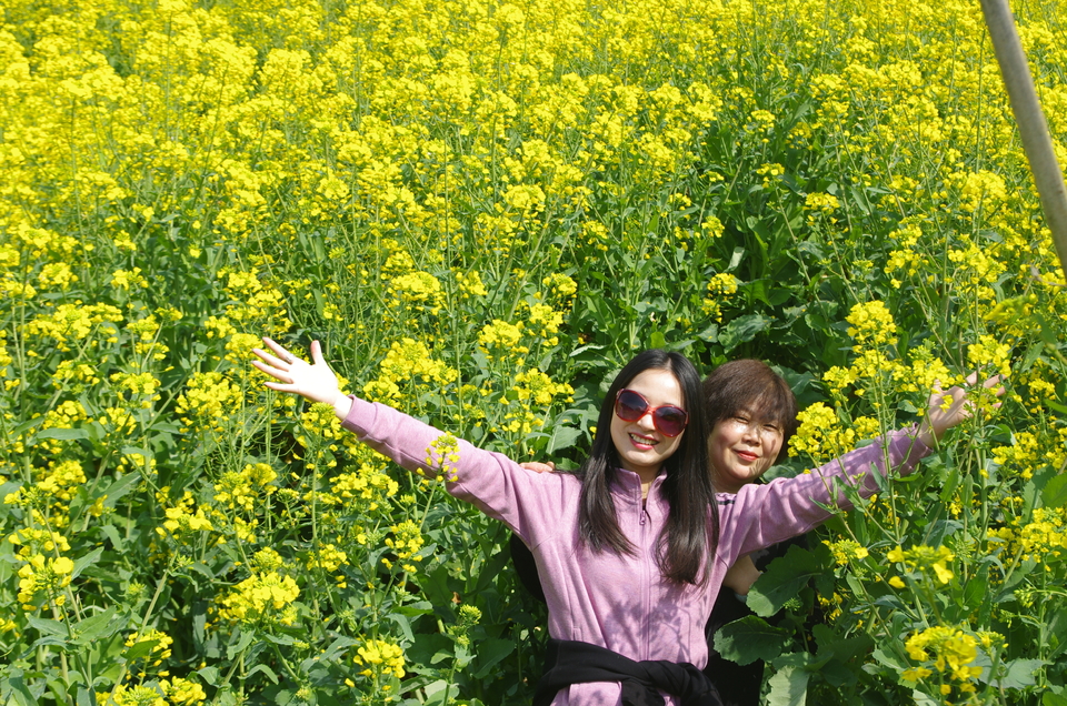 微信图片_20190318100313