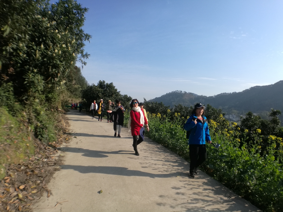 微信图片_201903180948051