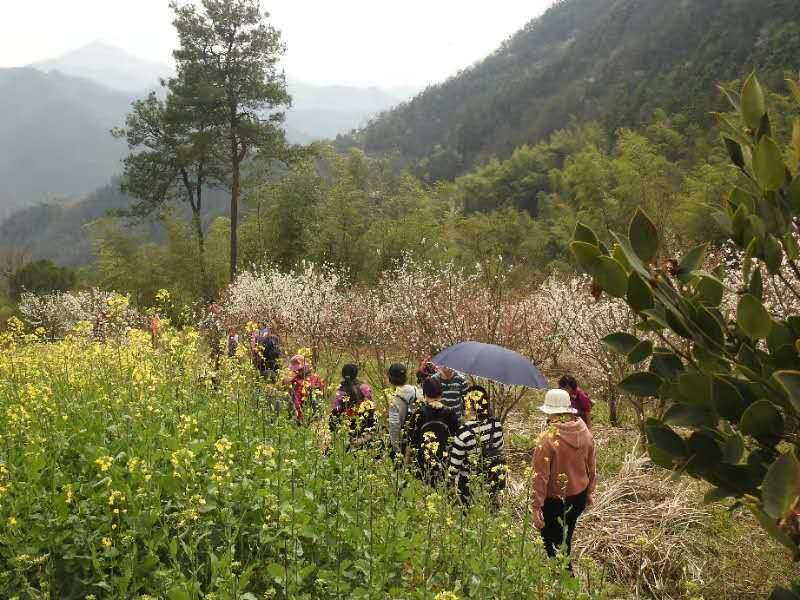 微信图片_201903180949486