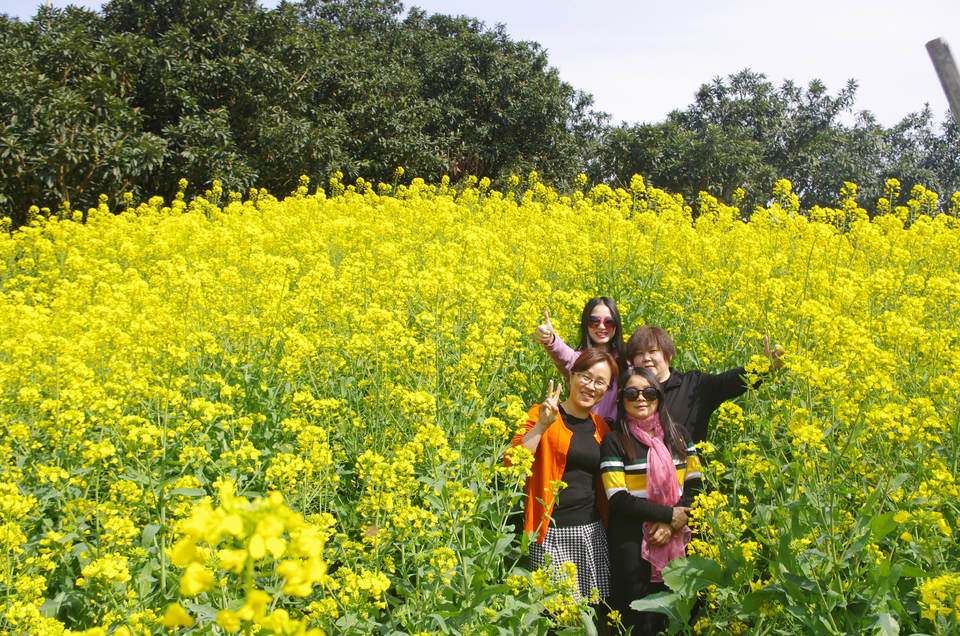 微信图片_201903181003135