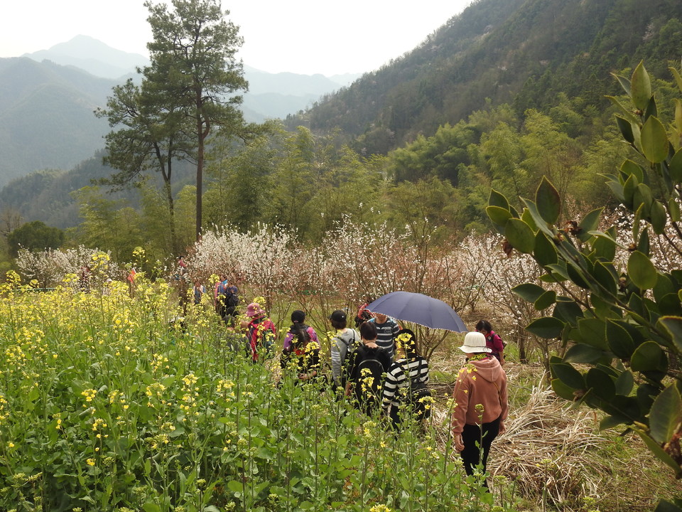 微信图片_2019031809410913