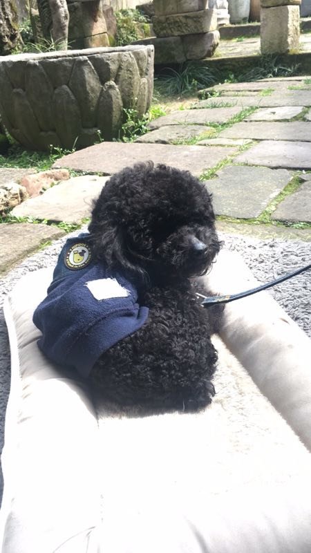 微信图片_2019031809494827