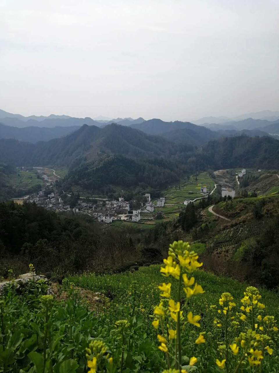 微信图片_2019031809494836