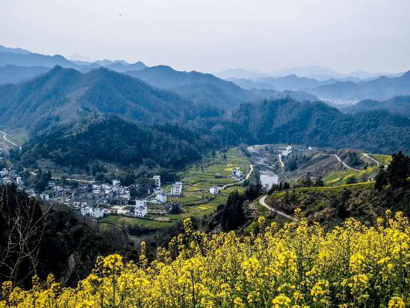 微信图片_20190325103739