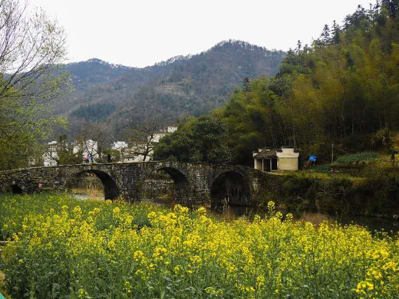 微信图片_201903251037391