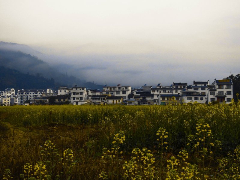 微信图片_201903251037392