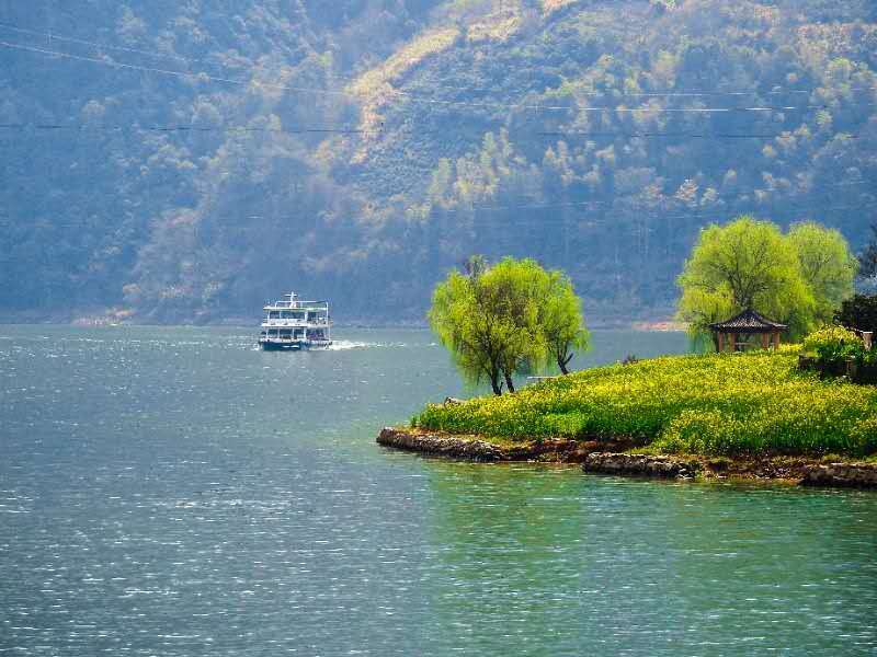 微信图片_2019032510373911