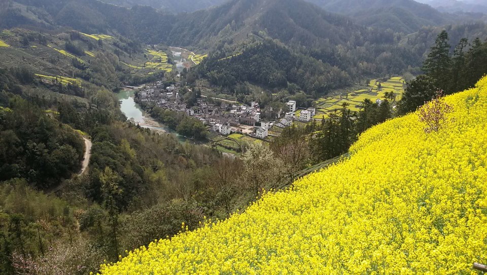 微信图片_20190325110033