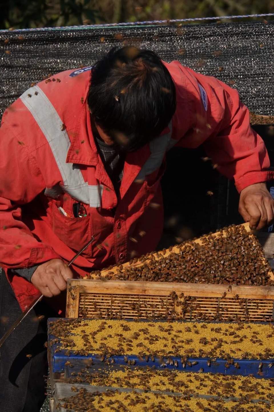 微信图片_201903251100335