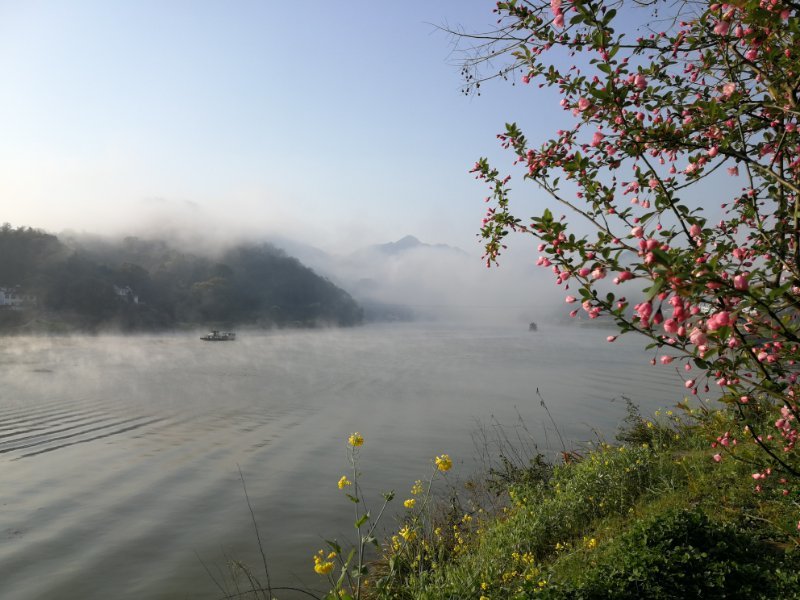 微信图片_2019032511003312