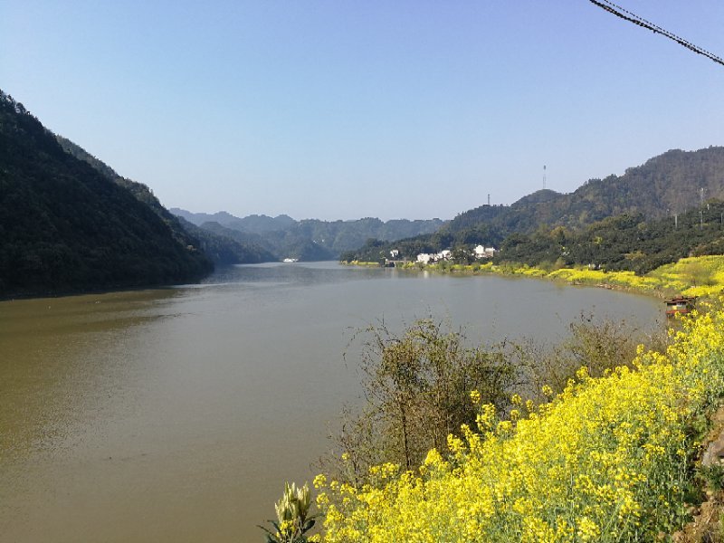 微信图片_2019032511003313