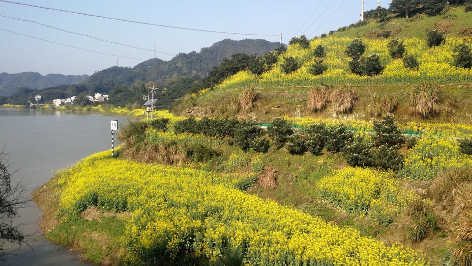 微信图片_2019032511003314