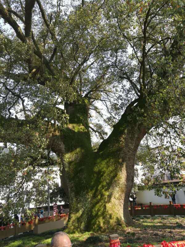 微信图片_2019032511003318