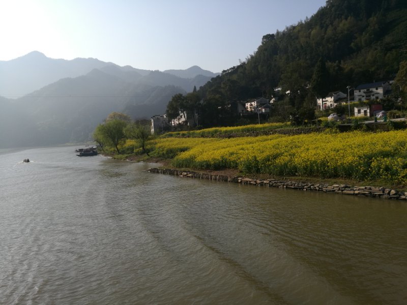 微信图片_2019032511003319