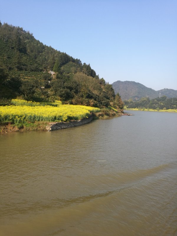 微信图片_2019032511003320