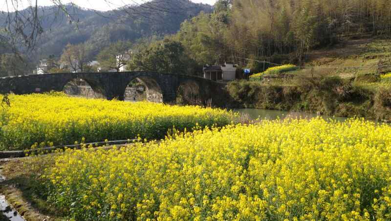 微信图片_2019032511003323