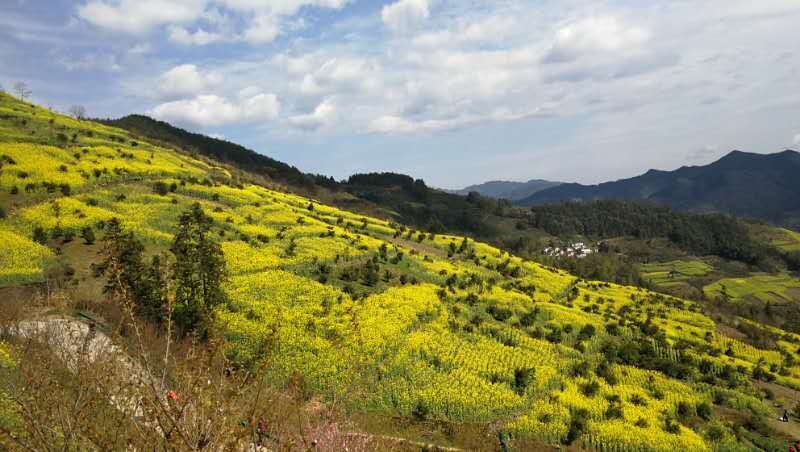 微信图片_2019032511003324