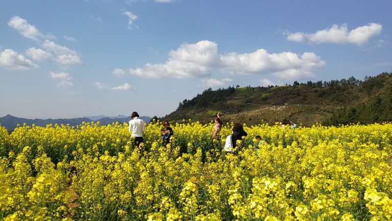 微信图片_2019032511003325