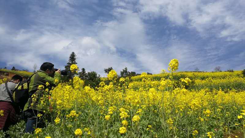 微信图片_2019032511003326