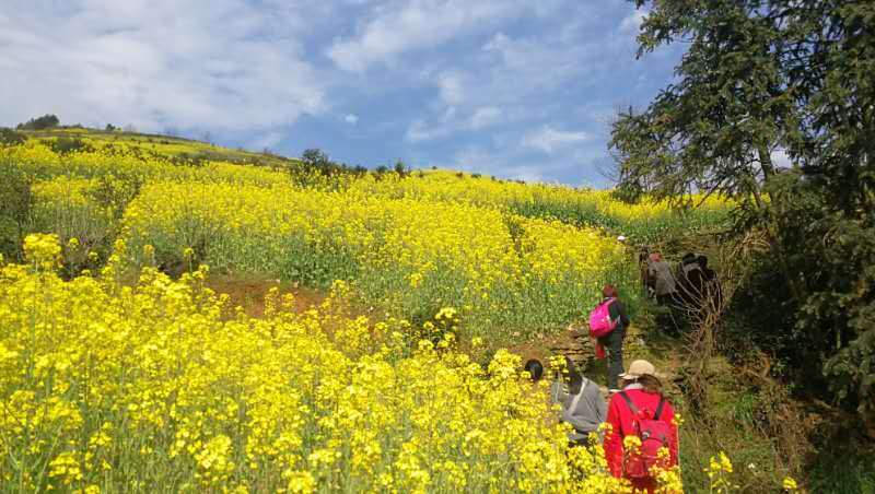 微信图片_2019032511003327