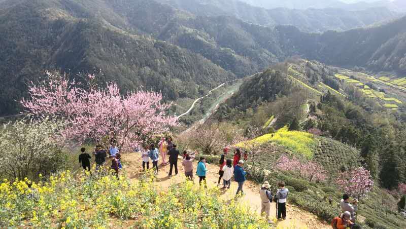 微信图片_2019032511003328