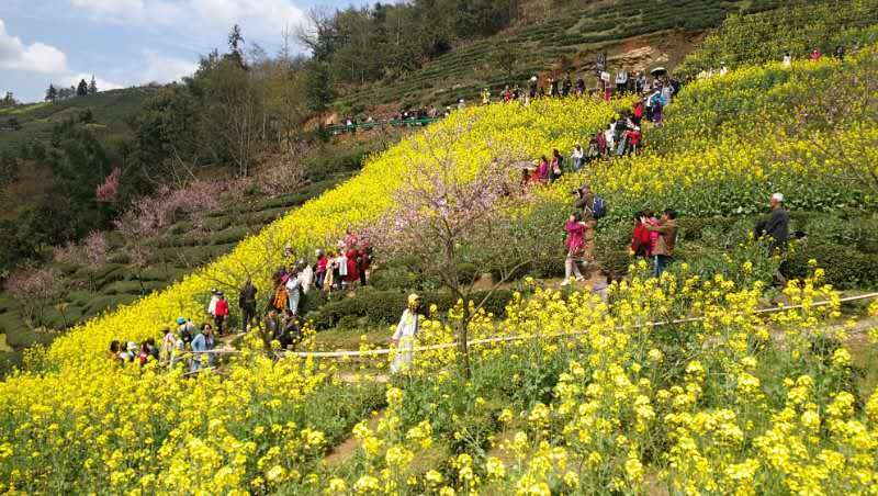 微信图片_2019032511003329