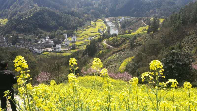 微信图片_2019032511003330