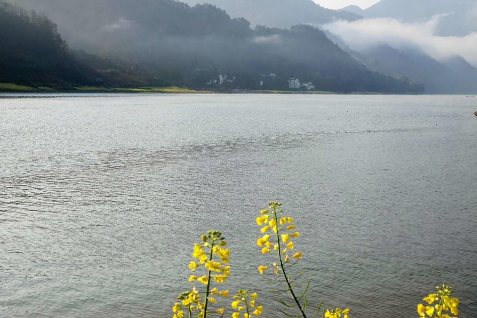 微信图片_2019032511003338