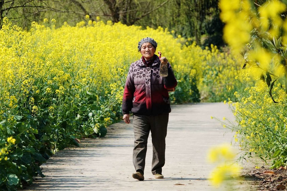 微信图片_2019032511003345