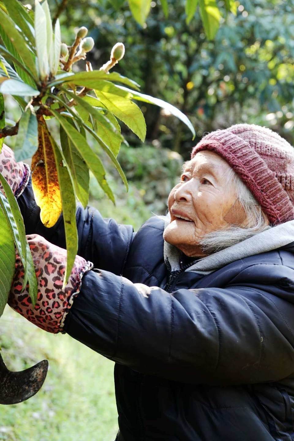 微信图片_2019032511003346