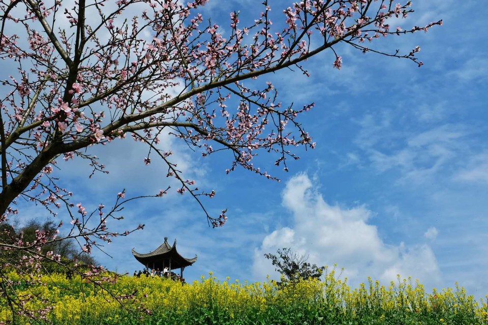 微信图片_2019032511003348