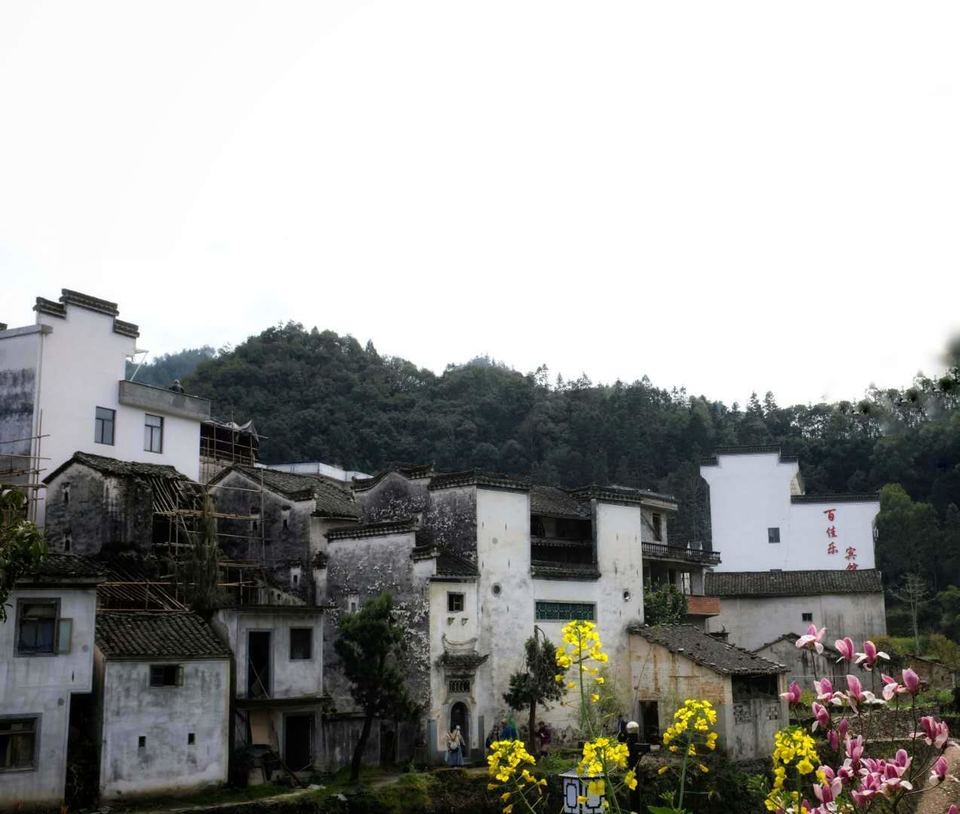 微信图片_2019032511003351