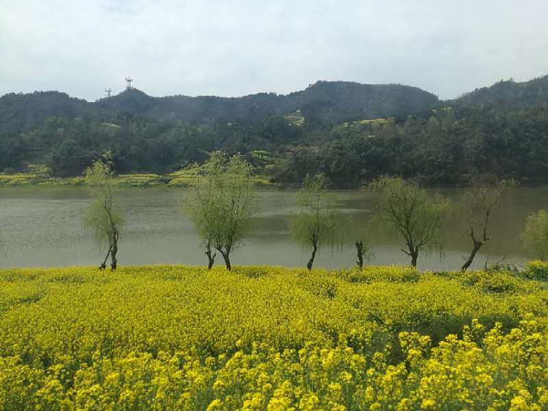 微信图片_2019032511003353