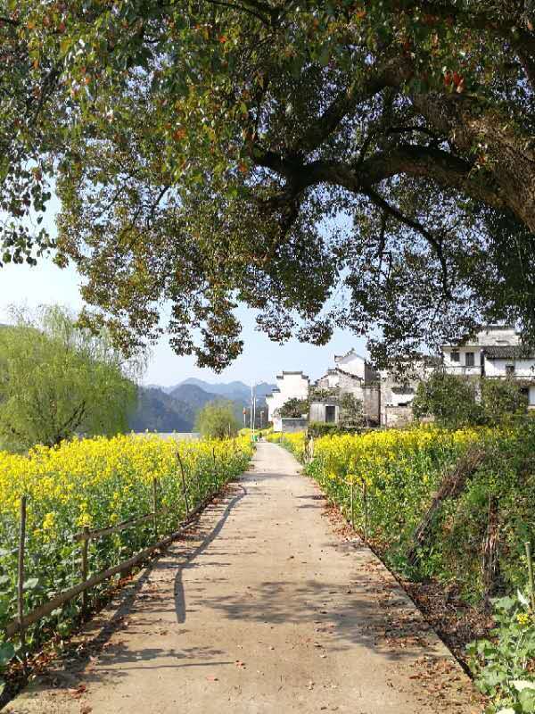 微信图片_2019032511003354