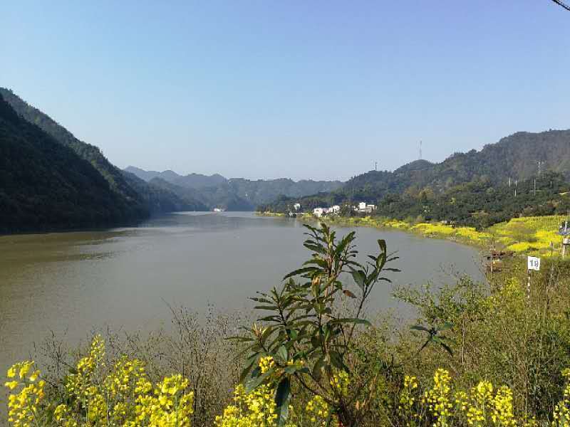 微信图片_2019032511003355