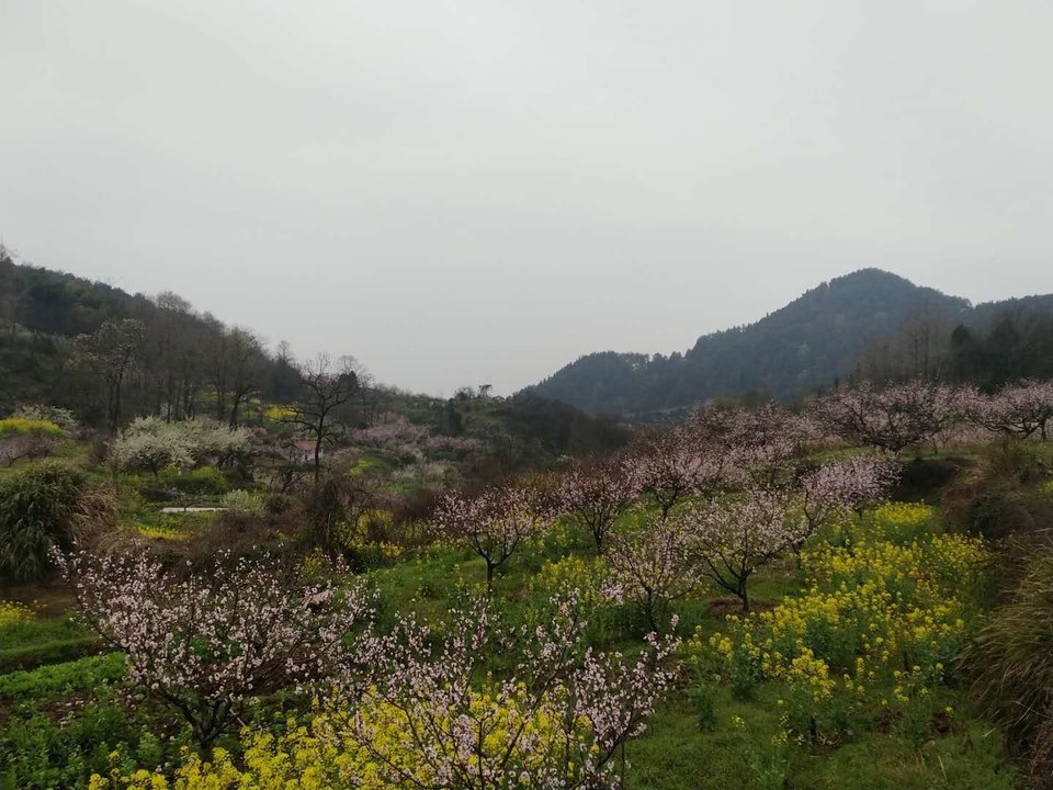 微信图片_2019032511003365