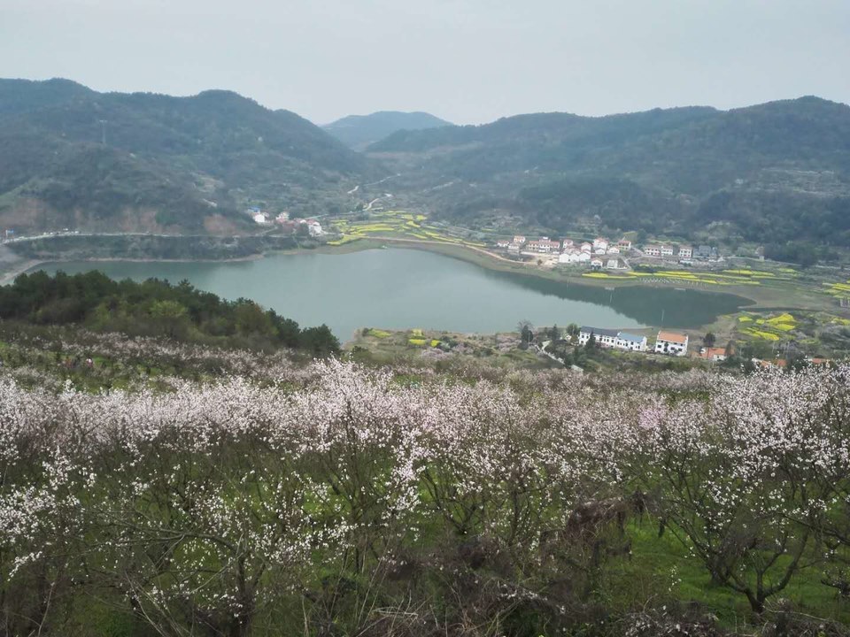 微信图片_2019032511003366