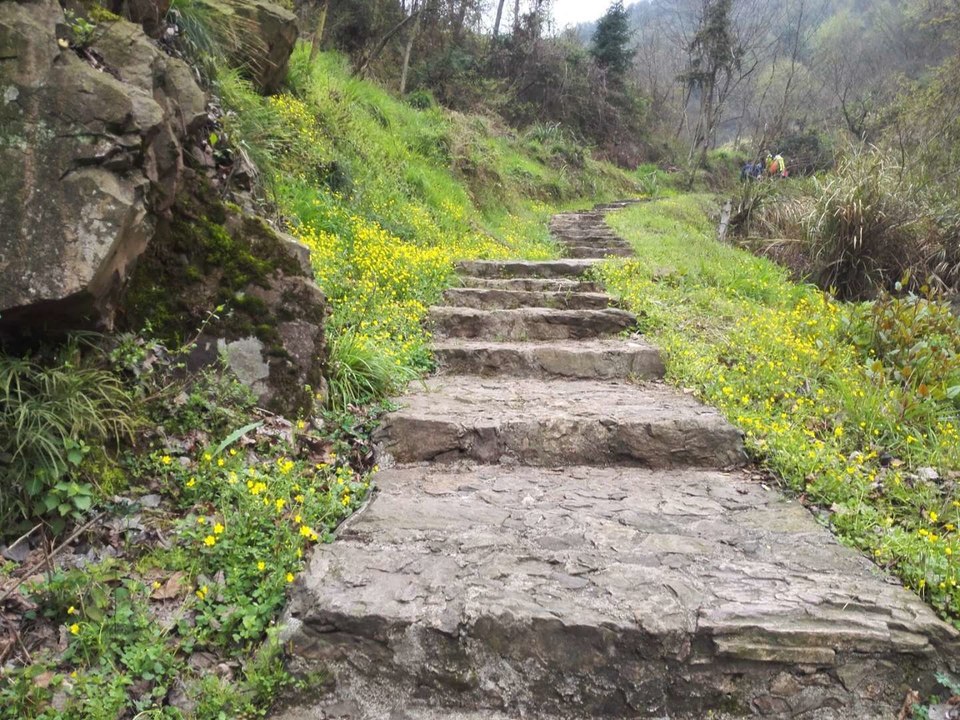 微信图片_2019032511003368