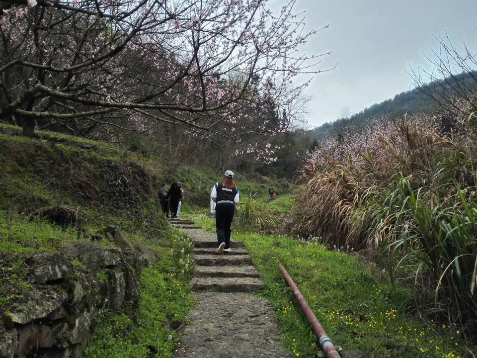 微信图片_2019032511003369