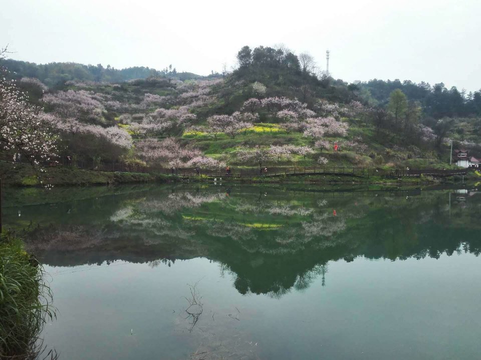 微信图片_2019032511003370