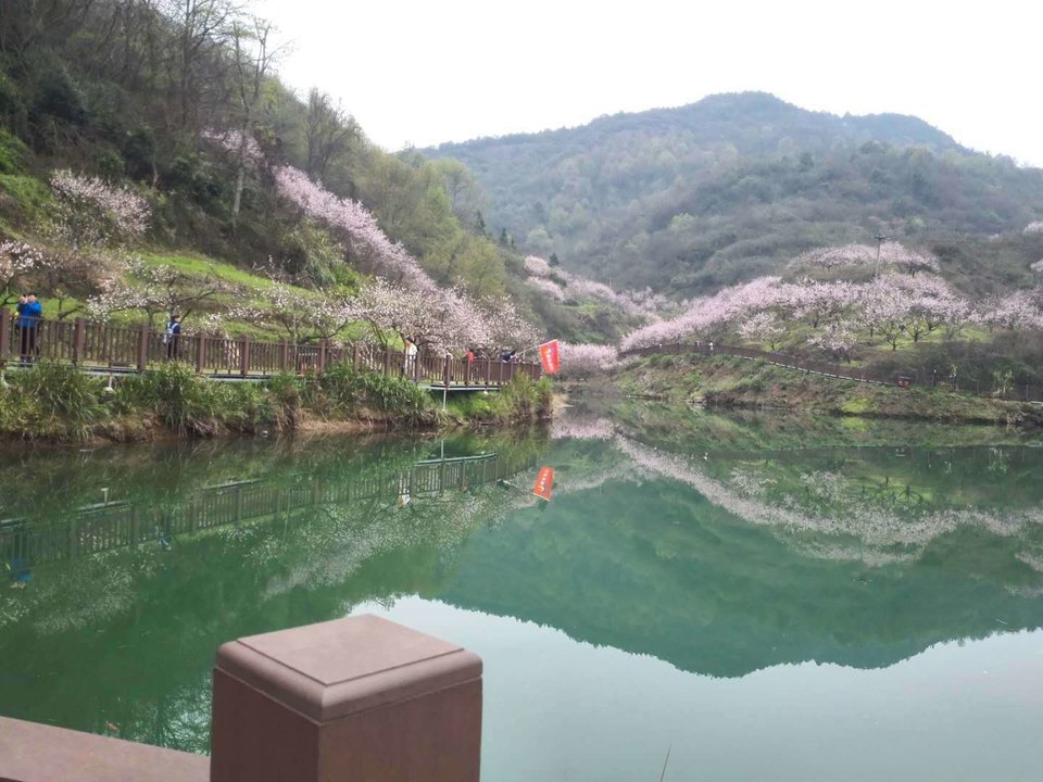 微信图片_2019032511003371