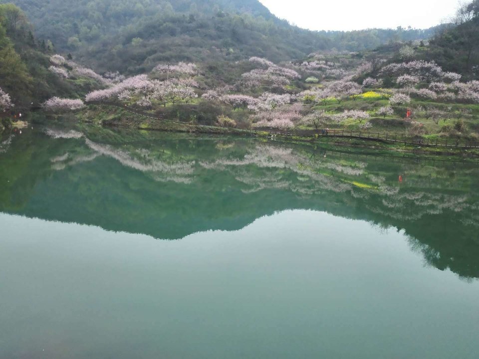 微信图片_2019032511003372