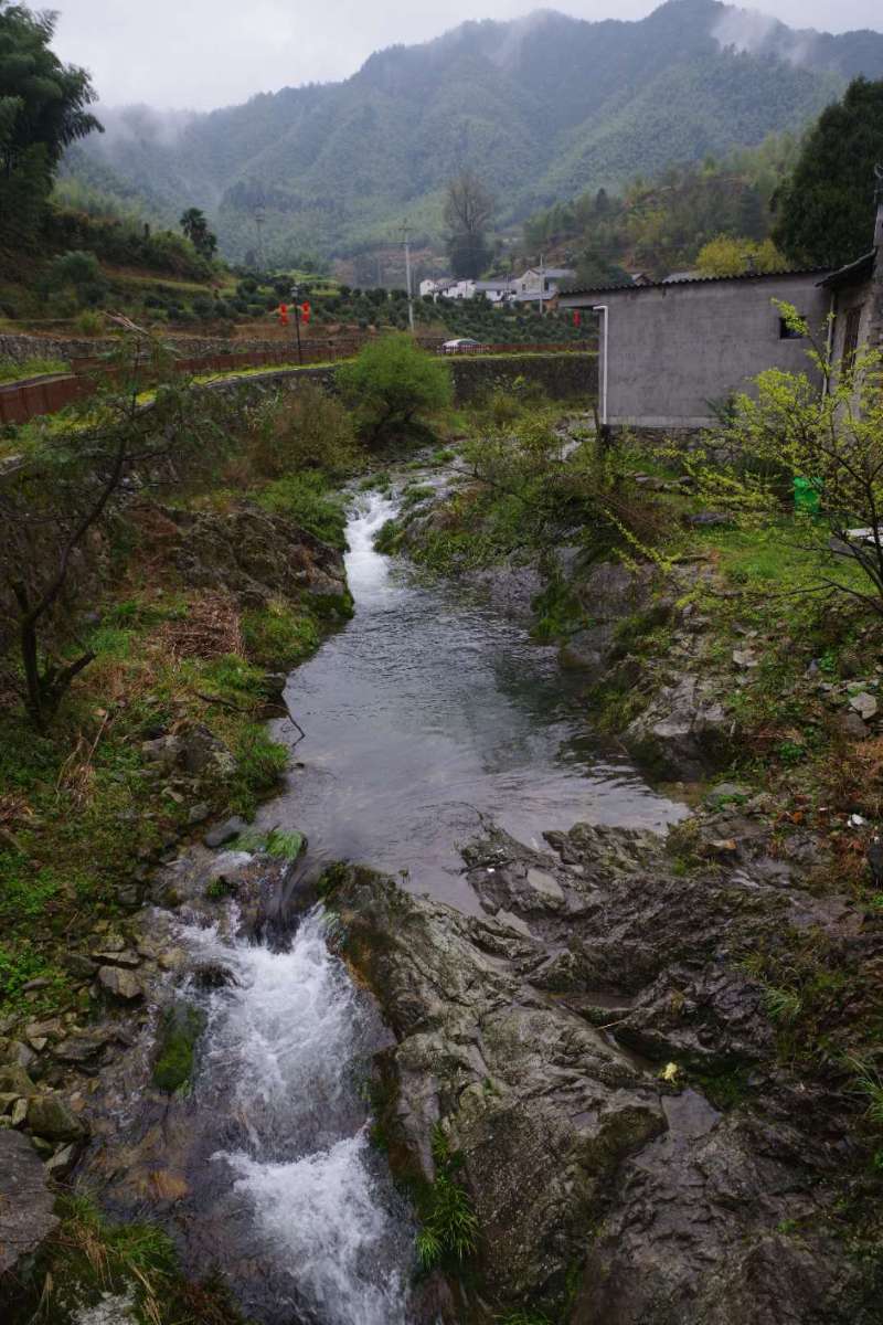 微信图片_20190401104340