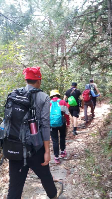 微信图片_201904011026543