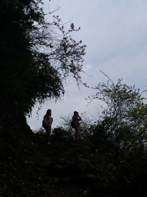 微信图片_201904011026544