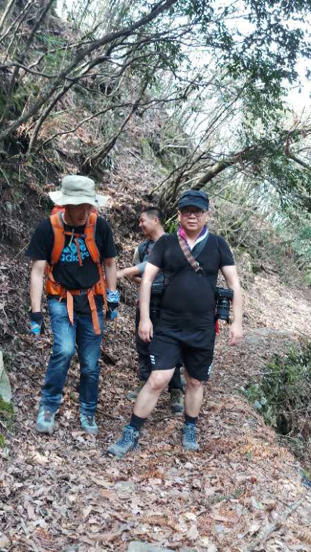 微信图片_201904011026547